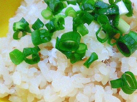 たっぷりの鯛でうまうま鯛めし